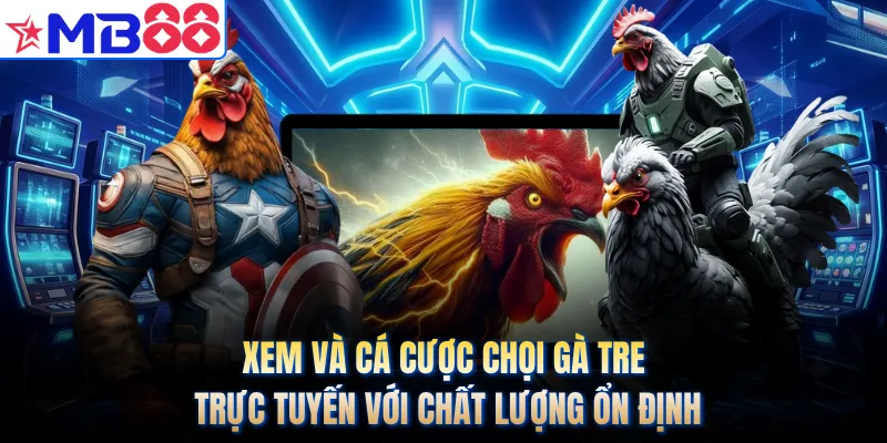 Xem và cá cược chọi gà tre trực tuyến với chất lượng ổn định